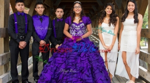Wonderful Organza Ruffled and Beaded Quinceanera Package in Purple