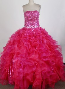 Exquisite Ball Gown Strapless Floor-length Quinceanera Dress
