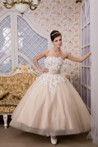 Beautiful Strapless Ankle-length Tulle Appliques Wedding Dress