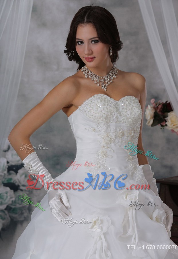 Washington Iowa Beaded and Appliques Decorate Bust Hand Made Flowers Pick-ups Organza Chapel Train W