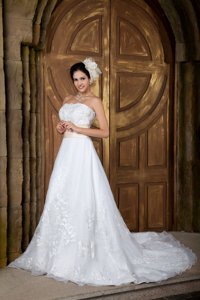 Beautiful Strapless Court Train Organza Embroidery Wedding Dress