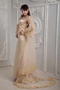 Roamntic Champagne Column Strapless Brush Train Satin Lace Wedding Dress 