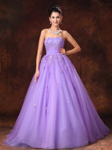 Lilac Sweetheart Tulle Appliques Court Train Custom Made Wedding Dress