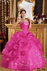 Hot Pink Ball Gown Strapless Floor-length Embroidery Organza Quinceanera Dress
