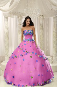 Hot Pink Ball Gown Quninceaera Gown For Custom Made Appliques Decorate Bodice