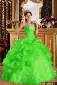 Spring Green Ball Gown Strapless Floor-length Embroidery Organza Quinceanera Dress