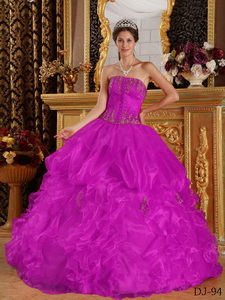 Fuchsia Ball Gown Strapless Floor-length Appliques Organza Quinceanera Dress