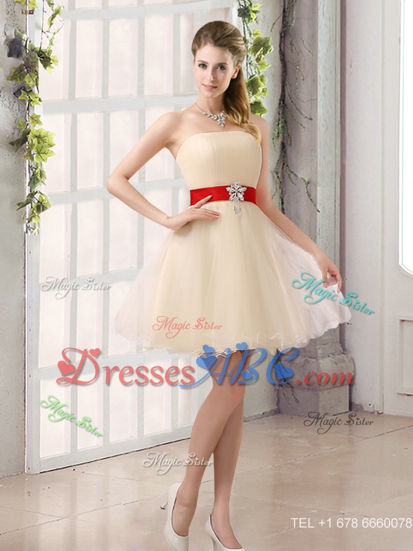 Perfect A Line Organza Dama Dress With Mini Length