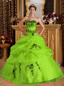 Yellow Green Ball Gown Sweetheart Floor-length Satin and Organza Embroidery Quinceanera Dress