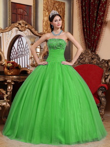 Green Ball Gown Strapless Floor-length Tulle Embroidery with Beading Quinceanera Dress