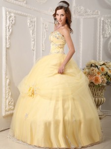 Beautiful Ball Gown Sweetheart Floor-length Organza Appliques Light Yellow Quinceanera Dress