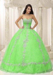 Green Sweetheart Appliques And Beaded Decorate Quinceanera Dress