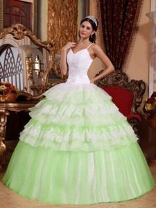 Yellow Green Ball Gown Spaghetti Straps Floor-length Organza Lace Appliques Quinceanera Dress