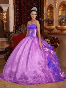 Purple Ball Gown Strapless Floor-length Organza Embroidery Quinceanera Dress