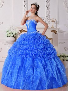 Baby Blue Ball Gown Strapless Floor-length Organza Embroidery with Beading Quinceanera Dress