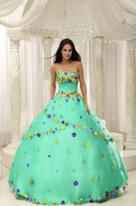 Apple Green Ball Gown Quninceaera Gown For Custom Made Appliques Decorate Bodice