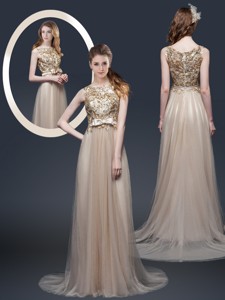 Luxurious Brush Train Evening Dress With Appliques And Bowknot